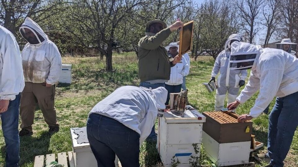 Advanced beekeeping courses focus on strategies to improve colony development and honey production for beekeepers. Pictured here are beekeepers learning about how to identify struggling hives, record keeping practices, and conducting thorough hive health inspections