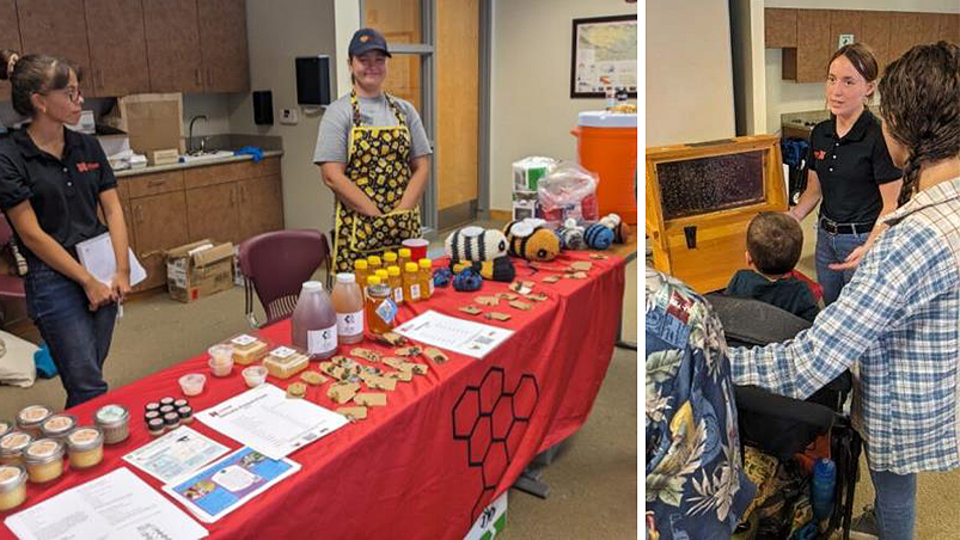 Two photos of bee lab participating in outreach events