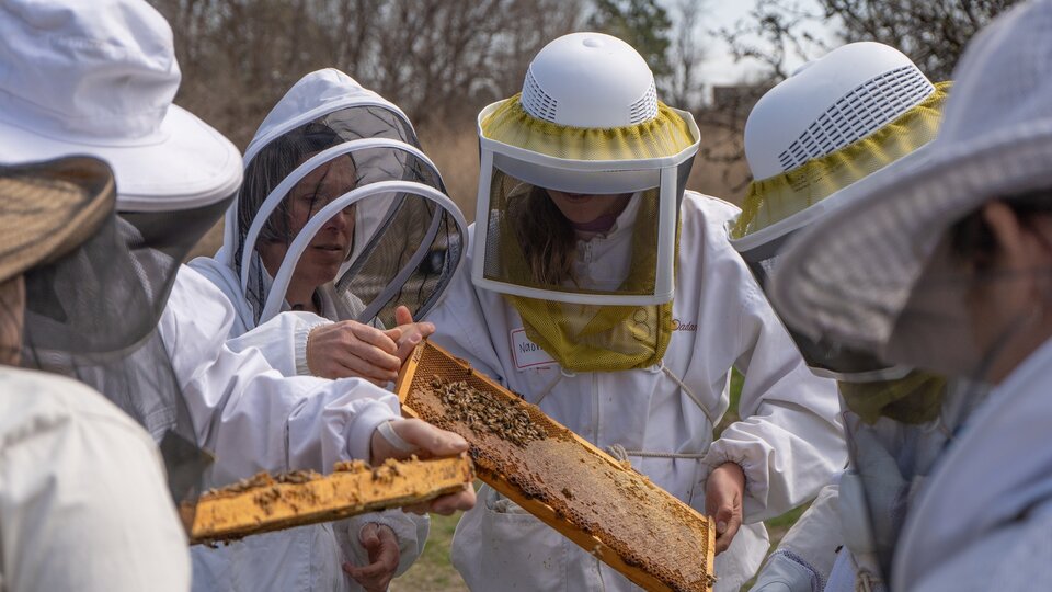 Great Plains Master Beekeeping training