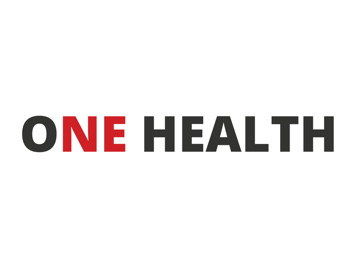 NE ONE HEALTH LOGO