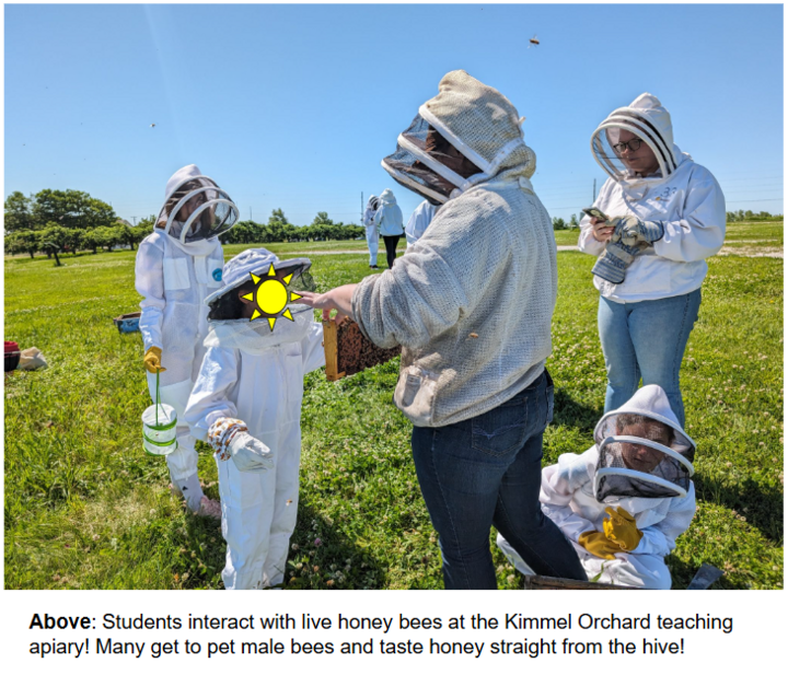 beekeeping adventure