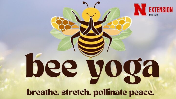 bee yoga25